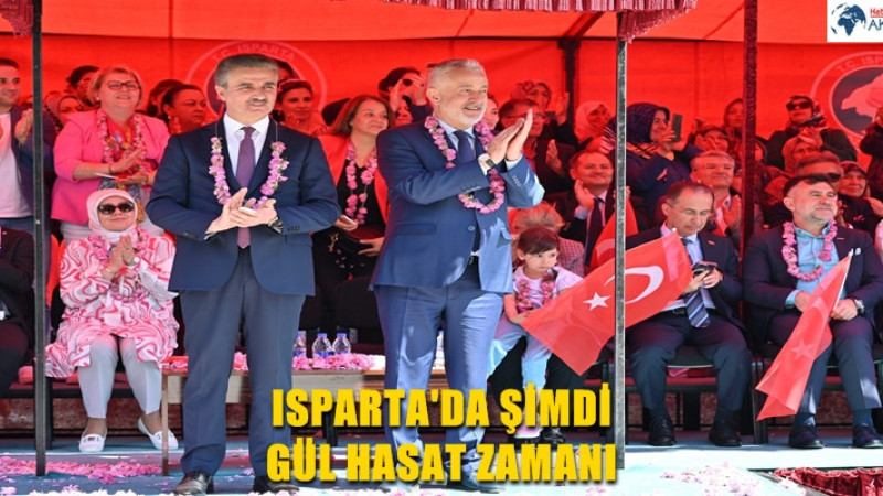 ISPARTA'DA ŞİMDİ GÜL HASAT ZAMANI